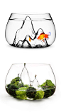 GlasScape fishbowl / terrarium :: Award-winning design, hand blown