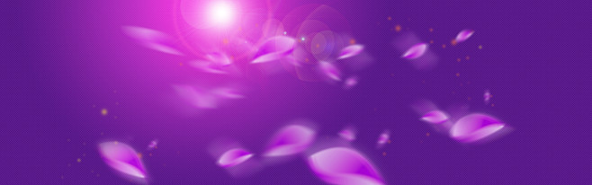紫色 花瓣背景