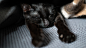 mike-stillwater-VXmlYHZSfAg-unsplash