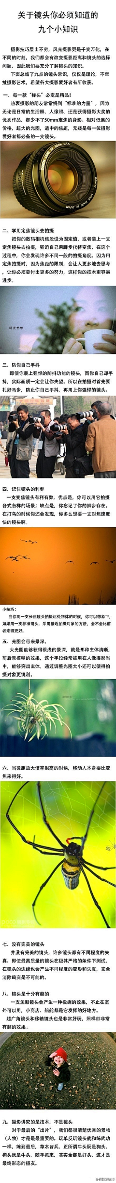 BangoDesign采集到教程