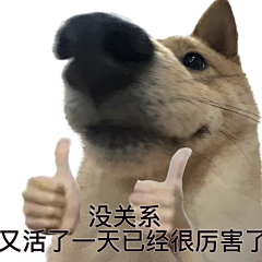 祈愿小婷采集到哈哈哈