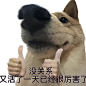 微博 – 随时随地发现新鲜事