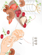 中医药膳针灸蘑菇林芝枸杞人参中式医疗医学插画