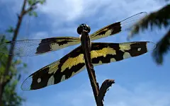 win7印度风情风光桌面高清壁纸桌面壁纸1