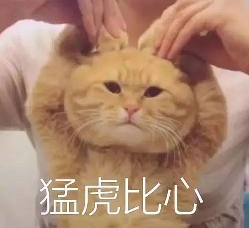 沙雕表情包更新,拿图互动  猛虎比心 你.