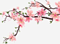 粉色梦幻中国风桃花装饰