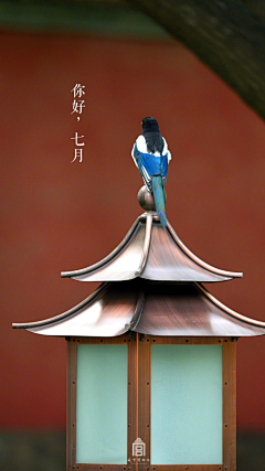 ㄴ゛小佑ə:ㄱ・采集到艺术