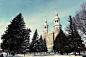 Free stock photo of snow, building, trees, winter