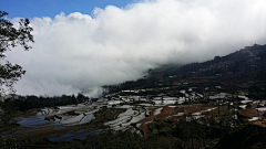 且听雨聆采集到元阳梯田