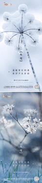 【素材能量站】海报 节气 小雪 大雪 冬至 雪 山 雪山 雪花 冰花 冬天 冰雪 雪景 冰 24节气 下雪 微信 枫叶 枫树|1028719 