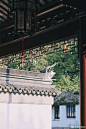微博 – 随时随地发现新鲜事