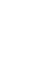 青思玉自画发光线条素材，使用注明青思玉，采集使用注明关注青思玉，侵权后果自负，严查