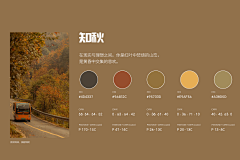 Glory·X采集到色彩搭配