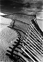 I remember the first time I saw the beach in Florida. It was unreal to see the grass and fences. I miss them so much.: