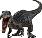 Baryonyx marketing images( found in the net)