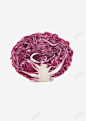 新鲜的紫包菜 设计图片 免费下载 页面网页 平面电商 创意素材