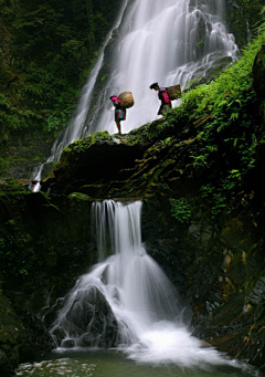 menlu22采集到山水美景