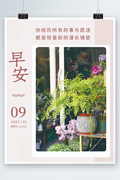 xixi西西的采集采集到海报