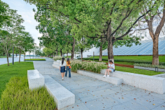 接骨木西打采集到大学