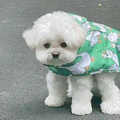奇奇怪怪沙雕萌宠头像