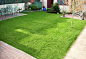 Artificial grass by mayahobbs on 500px