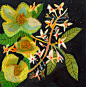 Nature/illustration
