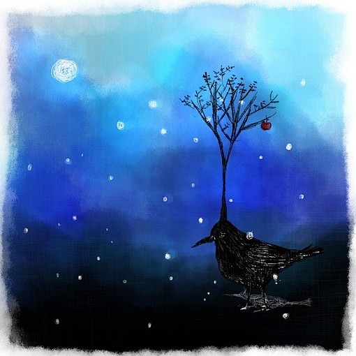 。、星空