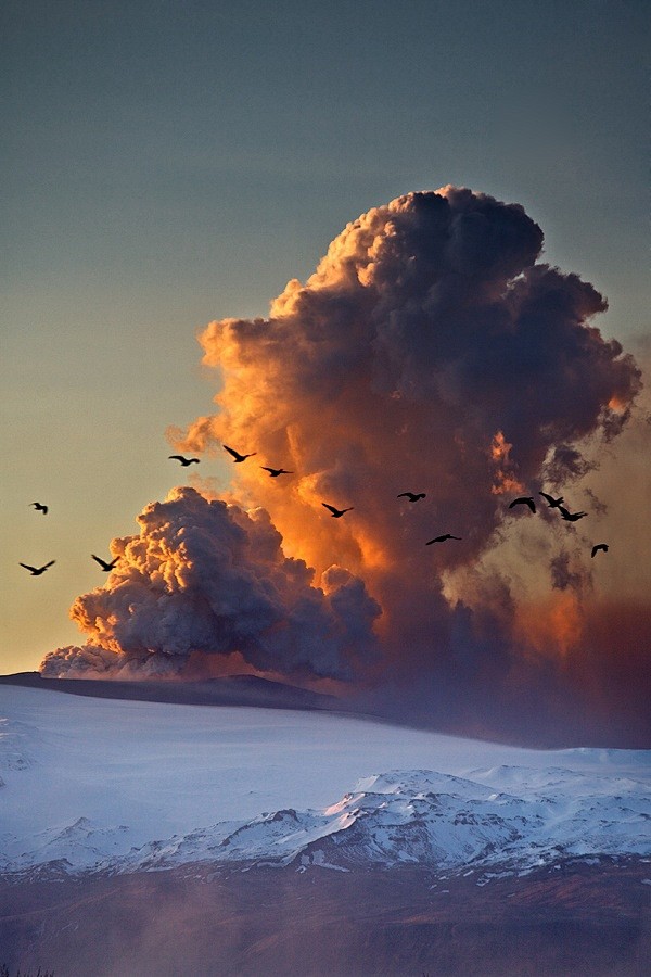 Snorri Gunnarsson 秀美...