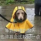 来自分享