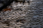 640?wx_fmt=jpeg&from=appmsg&tp=webp&wxfrom=5&wx_lazy=1&wx_co=1,353x235 像素