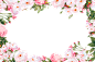 PNG素材 # 边框素材#装饰素材 彩铅鲜花花卉花朵相框 z植物花环
@冒险家的旅程か★