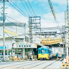 薄荷猫_CC采集到Z真实建筑场景