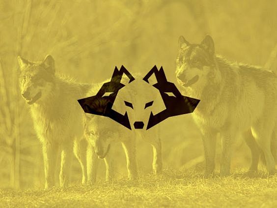 wolf logo: 