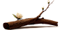 组 1