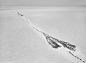 『他们在拍什么』Sebastiao Salgado，西伯利亚
“In Siberia”是 Sebastiao Salgado 长期拍摄计划“Genesis”的一部分，在这个拍摄项目中，Salgado 以史诗般的视角记录了西伯利亚北部游牧民族涅涅茨人原始的生活状态，整组作品拍摄于零下35度的环境中。

“我一共和18名涅涅茨族猎人同行，每隔5天，猎人们会杀一只驯鹿，割开喉咙，喝下温暖的鹿血，扒下鹿皮，将鹿肉作为后面5天的食物。这个游牧民族的所有生活就是基于驯鹿的。

我只有到达西伯利亚，才理解驯鹿是一种多么
