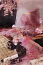 三位数就能拍到了樱花画中仙啦太美啦 - 小红书
