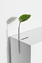 Solitários - Minimalissimo : Solitários is a limited edition series of elegant vases that hold a single leaf or flower. The collection is the result of the designer studies, insp...