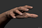 Female Hand Study, Andor Kollar : Sculpted in ZBrush
The model available here: 
https://www.turbosquid.com/3d-models/realistic-female-arm-hand-3d-model-1312491?referral=Andor-Kollar
 www.kollarandor.com | Andor Kollar - 2014