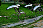 奥林匹克公园雕塑的 搜索结果_360图片
