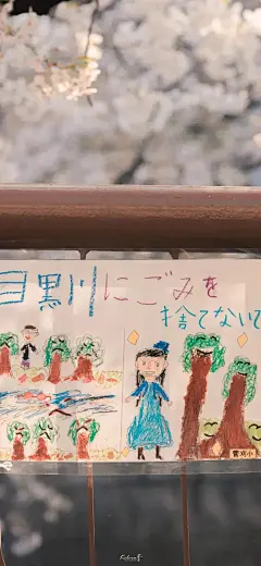 今日治愈壁纸 | 樱花烂漫 : ☀每天08：30请记得打开手机，查收我的礼物开启美妙的一天（点击图片可放大保存）