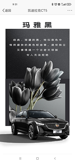 排列整齐的我2023采集到海报|版式