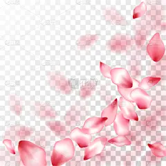japanese cherry petals on transparent background