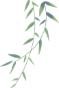 wb宝儿别摆烂-免扣素材-卡通-花卉植物00054