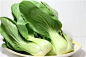 小白菜——补钙冠军
小白菜又叫青菜、鸡毛菜，是蔬菜中含矿物质较丰富的一种，尤其钙元素，高达90毫克/100克，比大白菜高出近一倍。小白菜中还含有大量有助于钙吸收的矿物质元素和维生素K。另外，小白菜富含维生素B1、B6、泛酸等，具有缓解精神紧张的功能，多吃有助于保持平静的心态。
需要指出的是，小白菜不可以生吃，用它制作菜肴时，炒、熬时间不宜过长，以免营养流失。
选购小贴士：
在选购时，如发现小白菜的颜色暗淡，无光泽，夹有枯黄叶、腐烂叶，并有虫斑，则为劣质小白菜，不要购买。小白菜因质地娇嫩，容易腐烂变质，一般