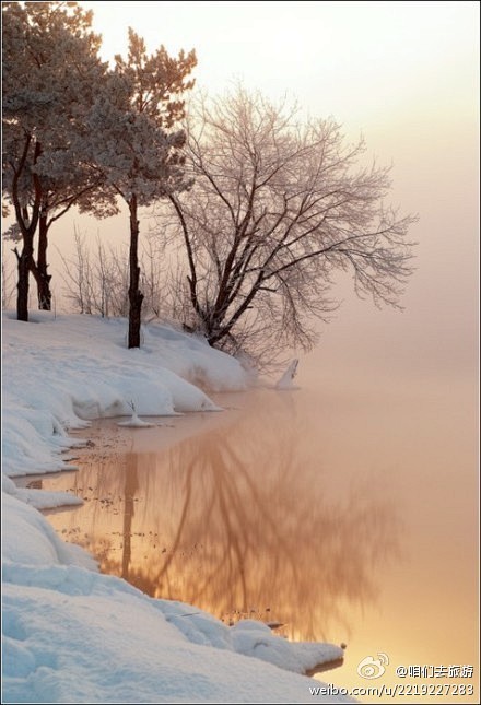 大自然的鬼斧神工~大雪，朝阳，迷雾。朦胧...