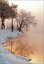 大自然的鬼斧神工~大雪，朝阳，迷雾。朦胧迷人。太美了···