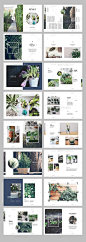 cool Botanic / Multipurpose Creative Portfolio Preview