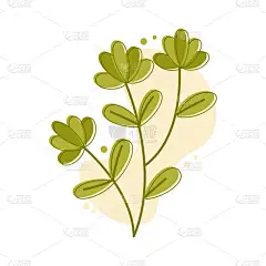 美感植物图解。简单的花型设计。花线艺术。手绘花纹.植物花的轮廓。植物，花卉轮廓。婚礼草图。矢量说明.