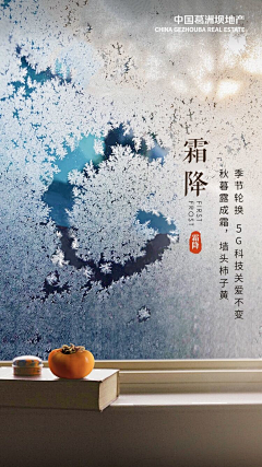林子里没人采集到J-节气-小雪