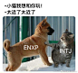 #mbti meme# #entp# #enfp# #intj# ​​​​